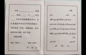 新疆普通高中畢業(yè)證模板（新疆普通高中畢業(yè)證圖片）